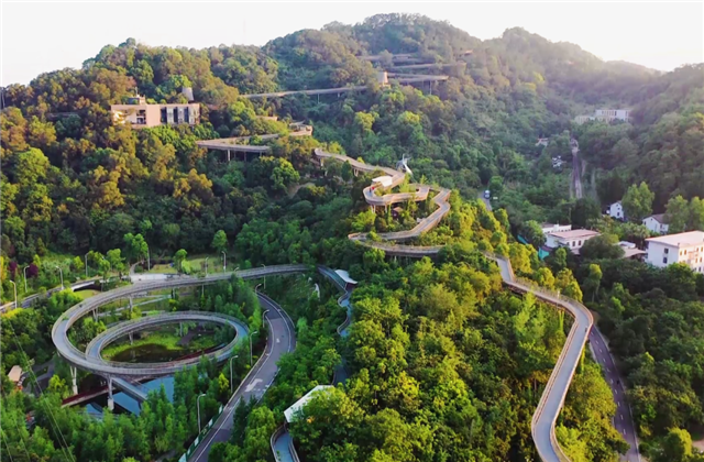 OG视讯集团荣获两项国家级协会工程建设科学技术奖！